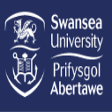 http://www.ishallwin.com/Content/ScholarshipImages/127X127/Swansea University-7.png